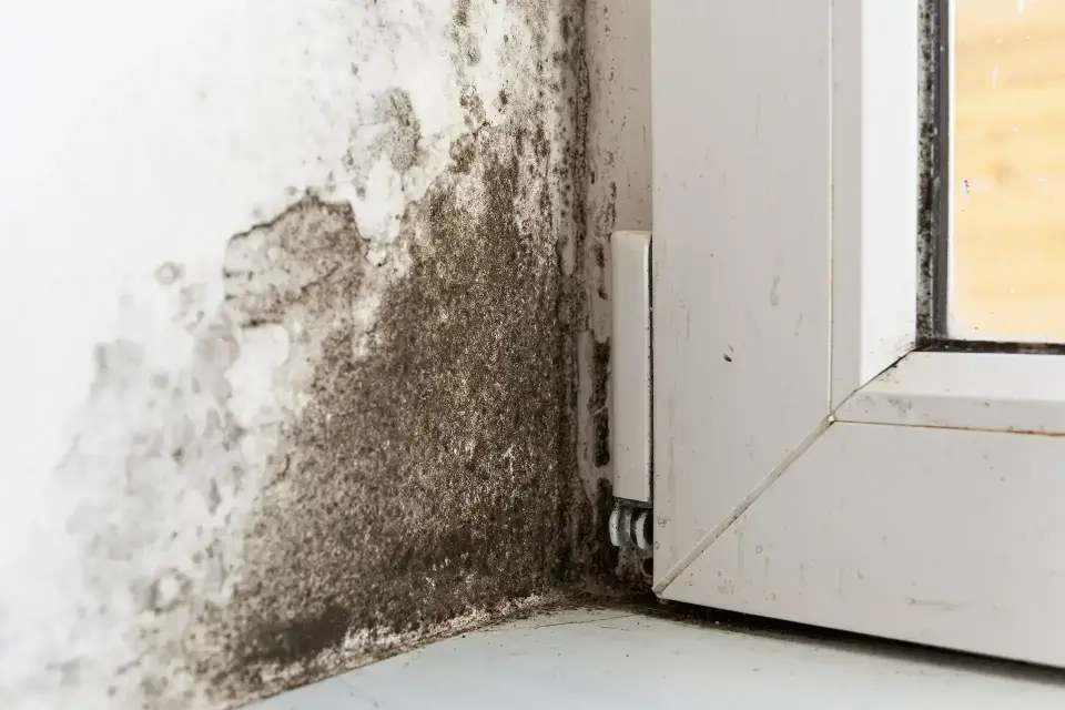Gilbert’s Trusted Water Mitigation & Drying Specialists — Gilbert, AZ